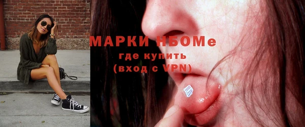 шишки Пестово