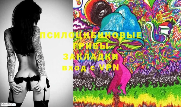 spice Алексин