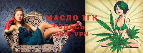 шишки Пестово