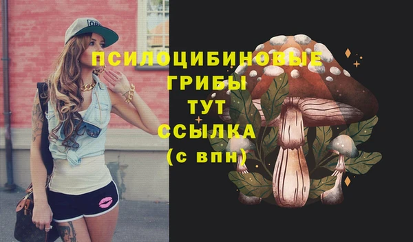 прущие крисы Переславль-Залесский