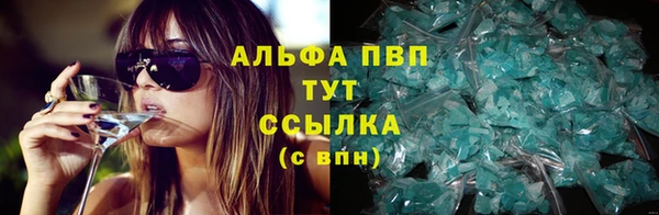 прущая мука Пересвет