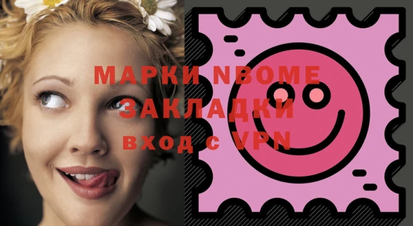 шишки Пестово