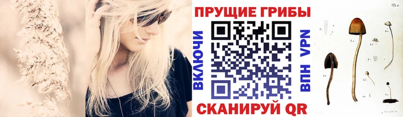 Галлюциногенные грибы мицелий Лысково