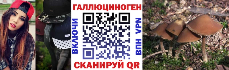 Псилоцибиновые грибы MAGIC MUSHROOMS  наркотики  Лысково 